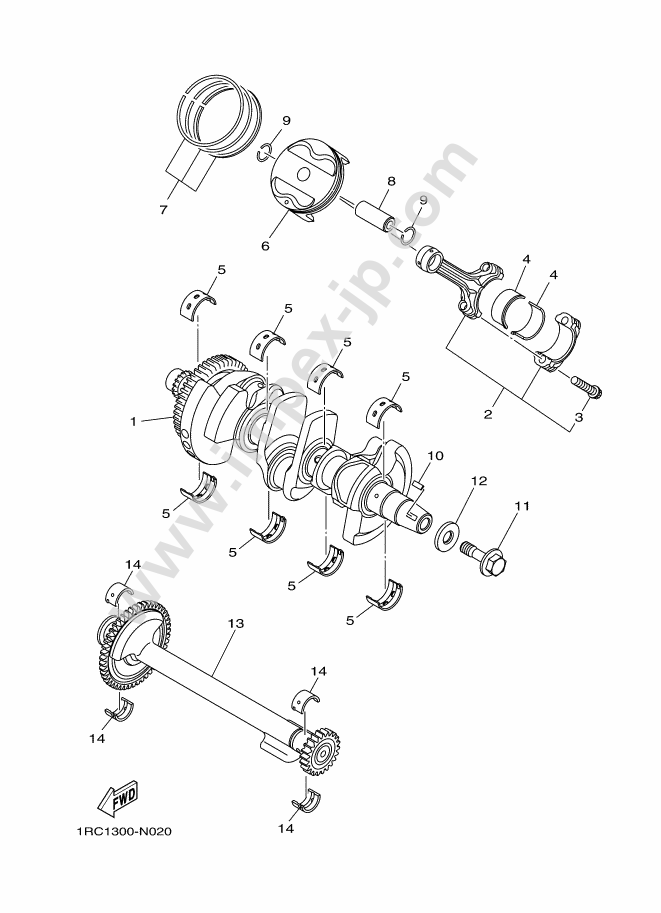 Motorcycle parts YAMAHA MT-09A (2014, 1278, C) — IMPEX JAPAN